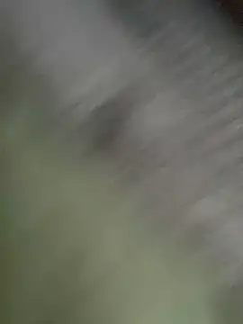 JezOne555 online show from February 2026 10:24:01 PM