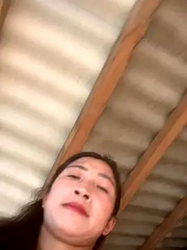 ThiHa003 online show from October 2025 09:52:01 AM