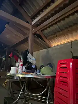 ThiHa003 online show from January 2026 05:11:02 AM