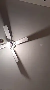 Snapshot of Cnutt310 chatting on March 2026 11:06:01 AM Cnutt310 online show from March 2026 11:06:01 AM