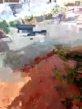 jeff pepoer online show from January 2026 03:36:02 PM