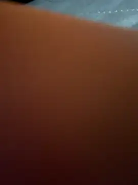 Snapshot of Link_lee chatting on October 2025 04:04:01 AM Link lee online show from October 2025 04:04:01 AM