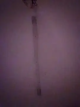 Bebita-zmp online show from March 2026 02:11:01 AM