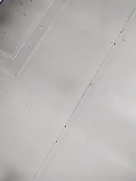 ShapingFeature48 online show from February 2026 10:13:02 PM