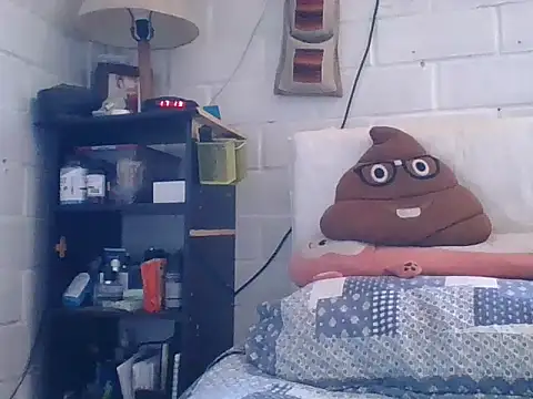 ShapingFeature48 online show from February 2026 08:12:02 PM