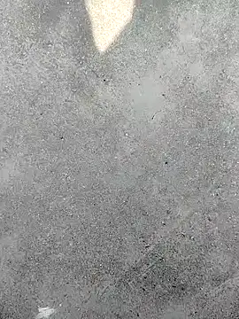 Snapshot of t2pnb chatting on December 2025 06:23:01 AM t2pnb online show from December 2025 06:23:01 AM