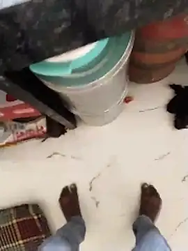 Wet BunnyFun online show from May 2026 11:29:01 AM