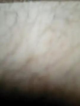 nikads0 online show from May 2026 01:39:02 PM