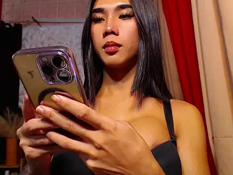 TRANSPORNIDOL online show from November 2025 04:56:01 AM