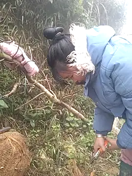 Chaotam1 online show from February 2026 08:19:02 AM