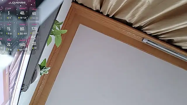 Haili-1 online show from October 2025 01:53:02 PM