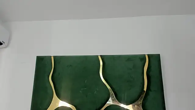 DaylesAndHarry online show from January 2026 12:41:01 PM