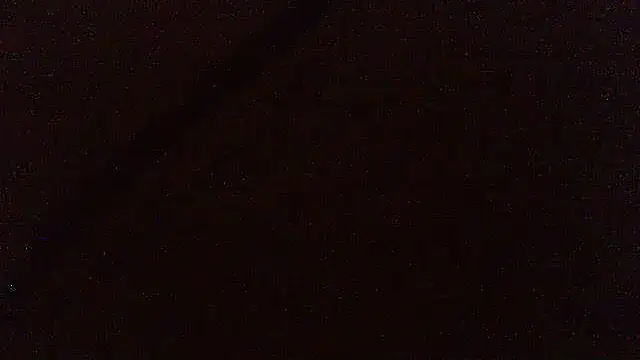 pietje1991 online show from May 2026 10:06:02 PM