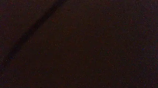pietje1991 online show from June 2026 12:59:01 PM