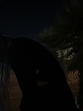 TranSexualJade95 online show from November 2025 10:06:02 AM