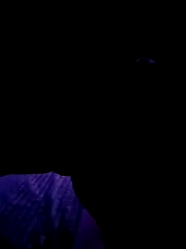 Snapshot of Thoma9034 chatting on October 2025 03:17:02 AM Thoma9034 online show from October 2025 03:17:02 AM