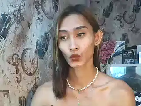 Snapshot of youarea_dreamer chatting on November 2025 06:41:02 PM youarea dreamer online show from November 2025 06:41:02 PM