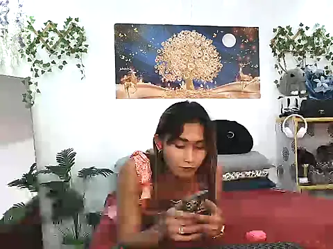 youarea dreamer online show from April 2026 05:14:02 PM