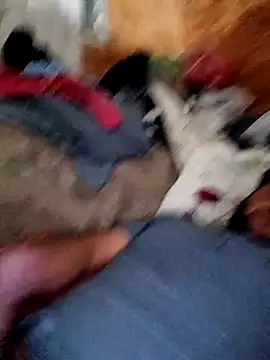 alber907 online show from February 2026 12:33:01 PM