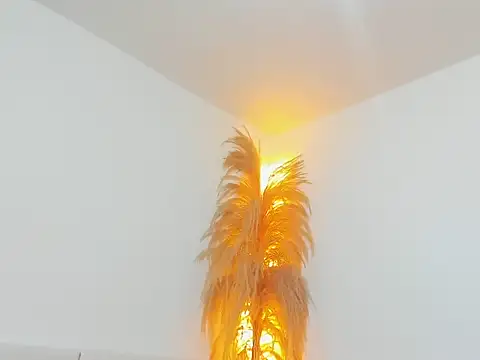 Snapshot of Kieran_kian chatting on February 2026 12:29:01 AM Kieran kian online show from February 2026 12:29:01 AM