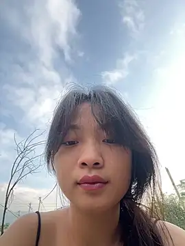 Snapshot of Phayphay77 chatting on November 2025 12:00:01 AM Phayphay77 online show from November 2025 12:00:01 AM