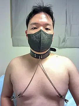 wolfdogwip online show from June 2026 11:56:02 AM