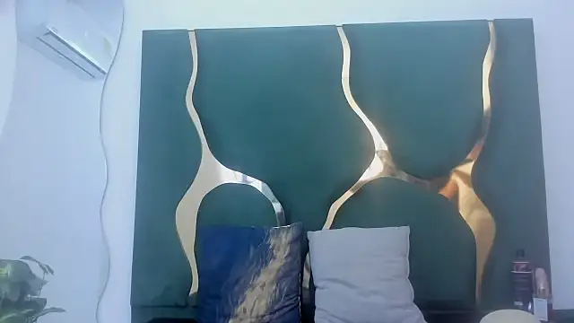 Snapshot of perlaasm chatting on September 2025 01:15:02 PM perlaasm online show from September 2025 01:15:02 PM