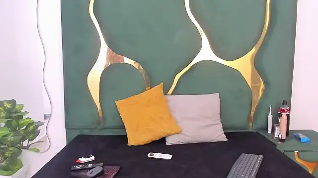 Snapshot of perlaasm chatting on October 2025 01:17:02 PM perlaasm online show from October 2025 01:17:02 PM