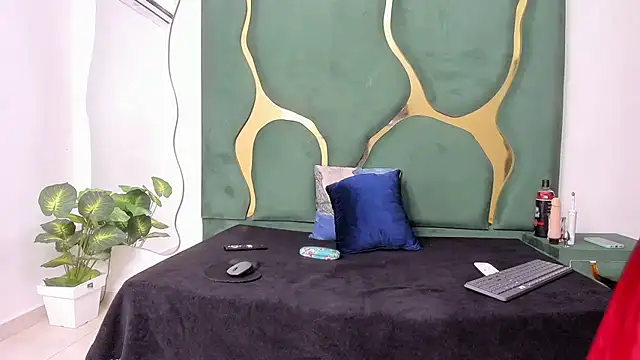 Snapshot of perlaasm chatting on October 2025 01:54:02 PM perlaasm online show from October 2025 01:54:02 PM