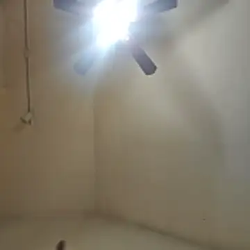 Tclarke93 online show from November 2025 05:52:01 AM