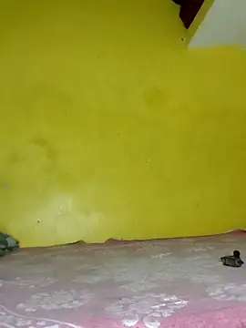 Dazzling khushii online show from September 2025 10:04:02 AM