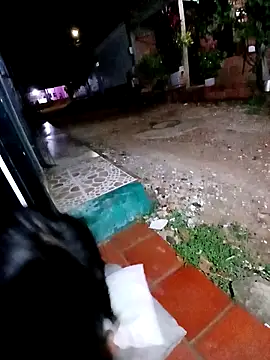 Snapshot of jeltsin3-25 chatting on February 2026 01:58:01 AM jeltsin3-25 online show from February 2026 01:58:01 AM