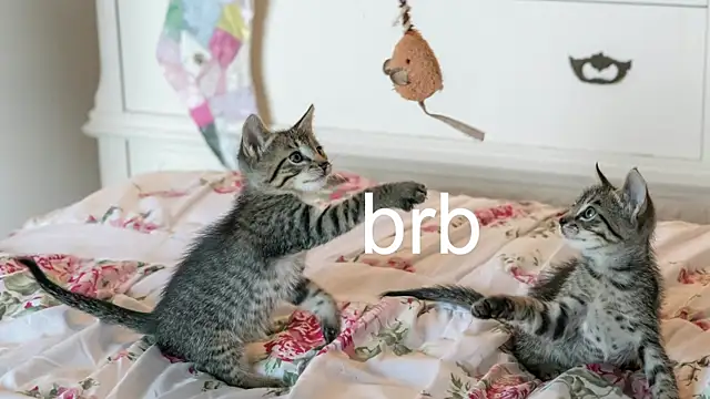 Pink girl0n online show from November 2025 03:27:02 AM