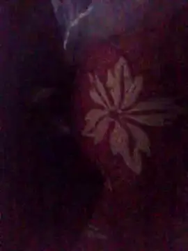 Amin Dz-20 online show from January 2026 11:29:01 PM