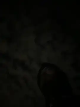 theone3121 online show from October 2025 11:43:01 AM