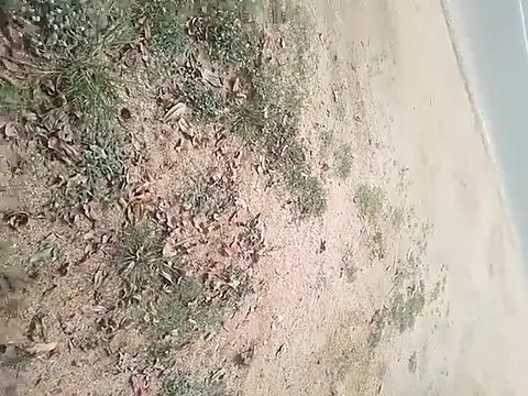 SAManthapathmasri online show from November 2025 07:47:01 AM