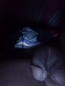 SAManthapathmasri online show from November 2025 06:29:01 PM