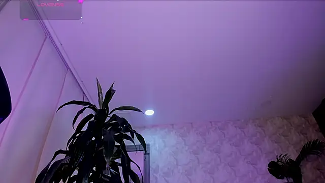 Alaiaguerra online show from May 2026 08:06:01 PM