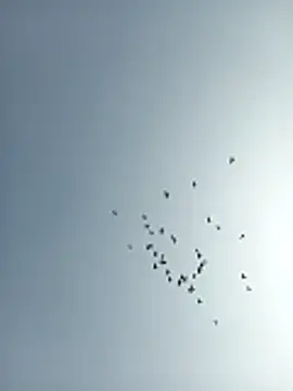 amitkumarkangra online show from December 2025 06:53:02 AM