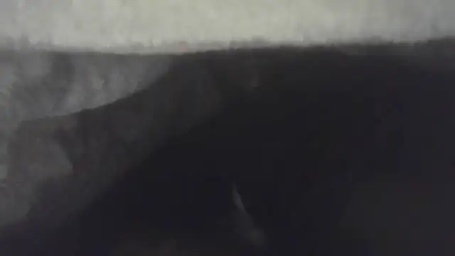 cuminsidebby online show from April 2026 05:36:02 AM
