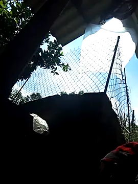 Snapshot of Bibilenu chatting on October 2025 04:22:01 AM Bibilenu online show from October 2025 04:22:01 AM