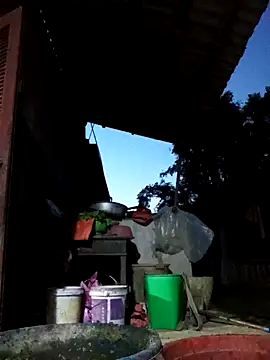 Snapshot of Bibilenu chatting on October 2025 11:00:01 AM Bibilenu online show from October 2025 11:00:01 AM