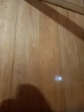 Snapshot of Bibilenu chatting on October 2025 01:12:01 PM Bibilenu online show from October 2025 01:12:01 PM