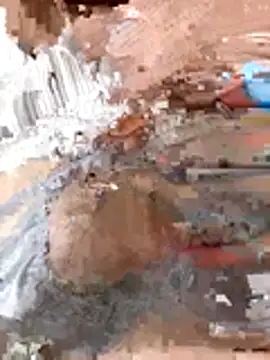 Snapshot of tw_swag chatting on January 2026 07:45:02 AM tw swag online show from January 2026 07:45:02 AM