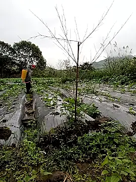 Snapshot of Exembin chatting on October 2025 01:57:01 AM Exembin online show from October 2025 01:57:01 AM