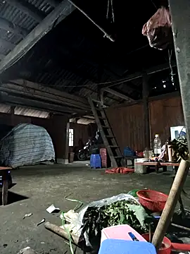 Snapshot of Exembin chatting on November 2025 09:42:02 AM Exembin online show from November 2025 09:42:02 AM