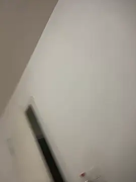 Snapshot of Alerquinasc chatting on September 2025 03:19:01 AM Alerquinasc online show from September 2025 03:19:01 AM