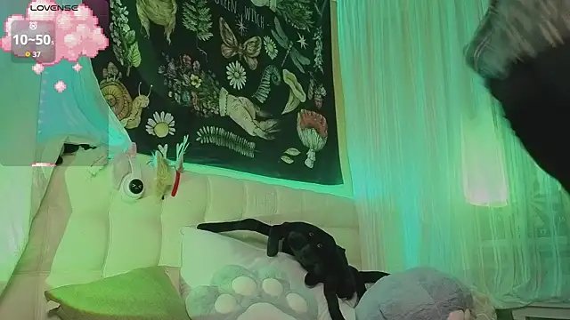 Miko Meow online show from October 2025 08:16:02 PM