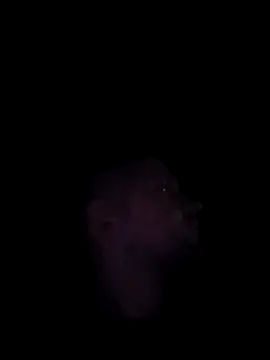 Snapshot of Mumuska chatting on December 2025 10:52:01 PM Mumuska online show from December 2025 10:52:01 PM