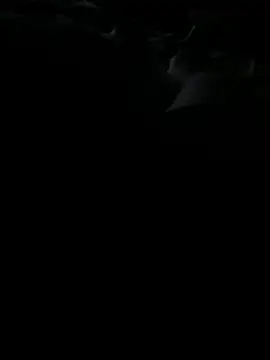 Reeelo online show from November 2025 03:17:02 AM